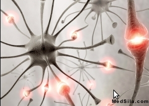 Нейрон